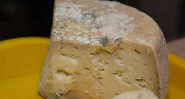 Что такое сыр с белой плесенью