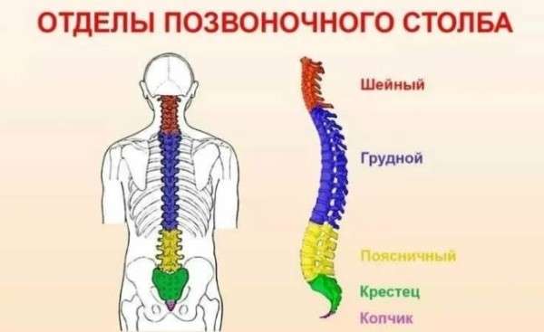 Важность хорошей осанки