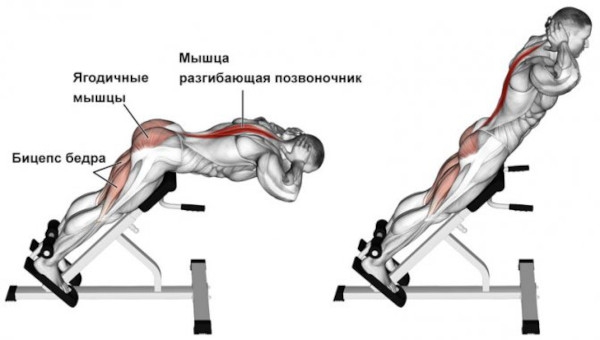 Обратная гиперэкстензия. Техника для ягодиц