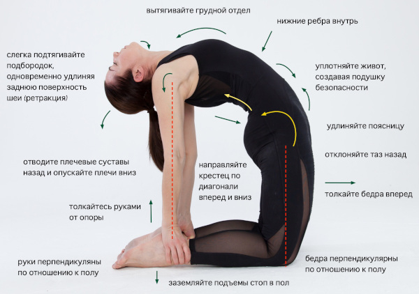 Поза верблюда в йоге. Фото, польза, техника