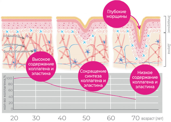 Признаки старения кожи. Первые у женщин, молекулярные и морфологические, лица