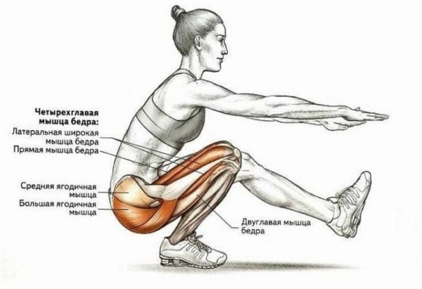 Приседание на одной ноге. Техника выполнения, какие мышцы работают